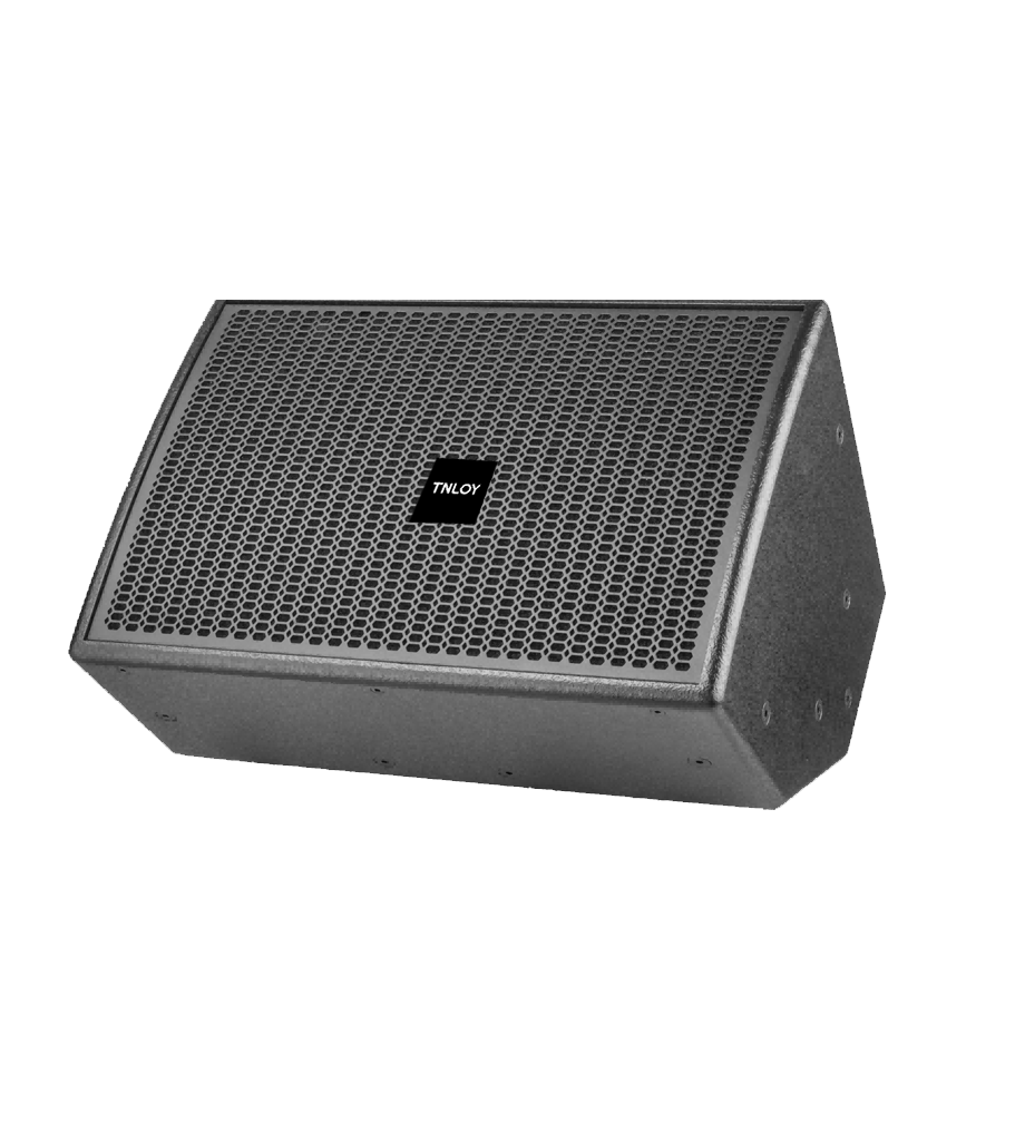 1752820583567444.png TNLOY TL-CVX1012M 单12寸返听音箱.png